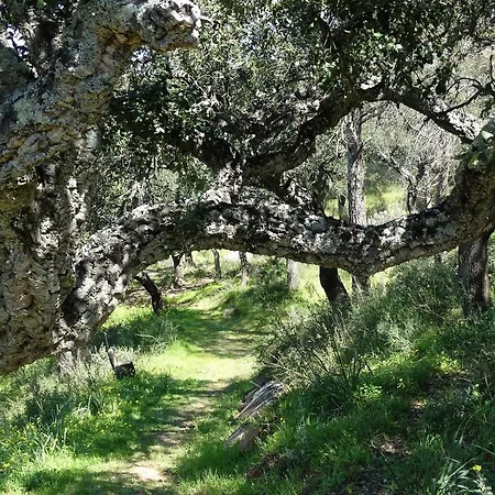 Alojamiento Rural El Lario Apartment